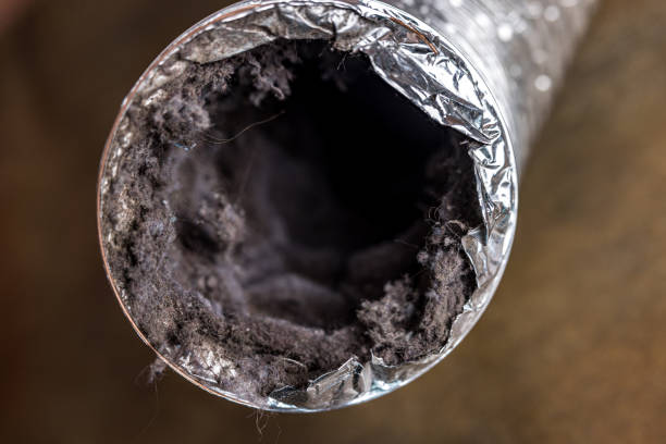 Best Commercial Air Duct Cleaning  in Shamokin, PA